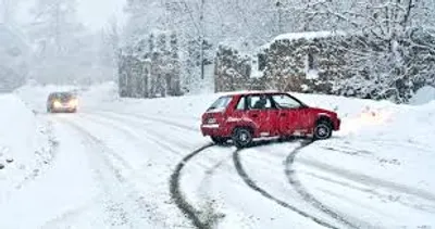 Illustration skid - Image 2