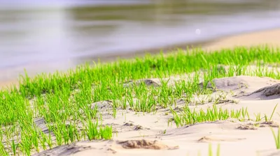 Illustration accretions - Image 1