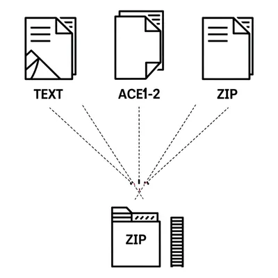 Illustration zip - Image 1
