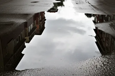 Illustration pools - Image 1