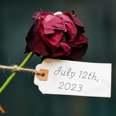 Illustration dated - Image 1