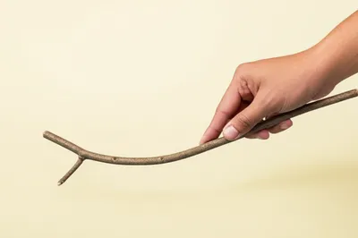 Illustration straighten