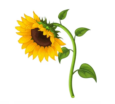 Illustration itself - Image 1