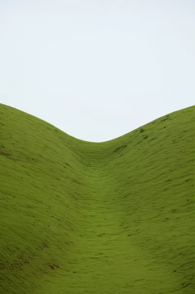 Illustration saddles - Image 1