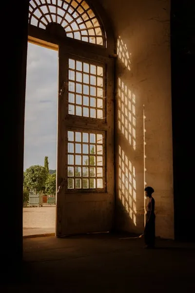 Illustration opens - Image 2