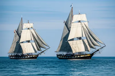 Illustration blanket - Image 1