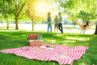 Illustration dominical