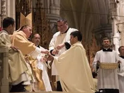 Illustration ordination - Image 2