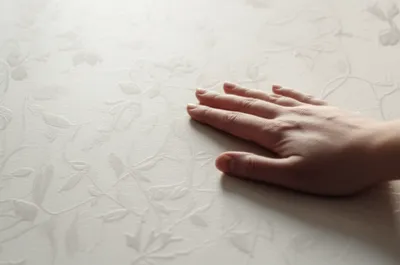 Illustration raised - Image 1