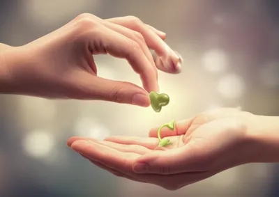 Illustration reciprocated - Image 1