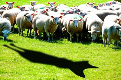 Illustration subterfuge - Image 1