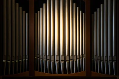 Illustration principals - Image 1