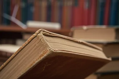 Illustration calf - Image 1