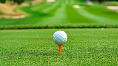 Illustration tee - Image 1