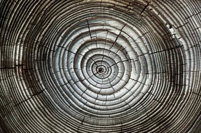 Illustration experience - Image 1