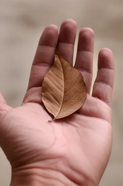 Illustration pittance - Image 1