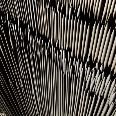 Illustration palisades - Image 1