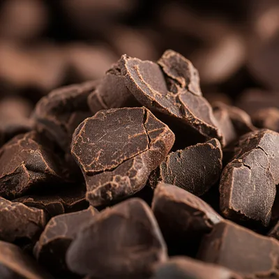 Illustration nib - Image 1