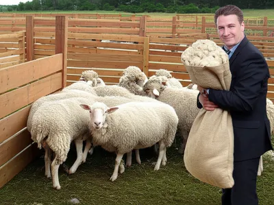 Illustration clipped - Image 1