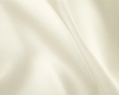 Illustration say - Image 1