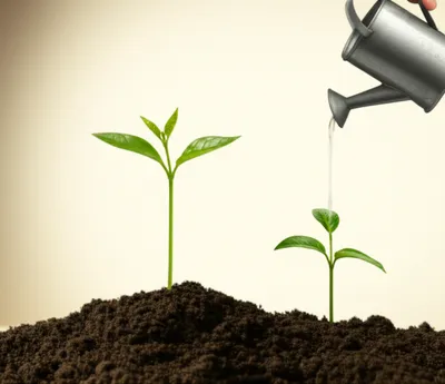 Illustration plus - Image 1