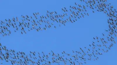 Illustration rounded - Image 1