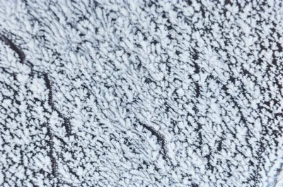 Illustration frosted - Image 1