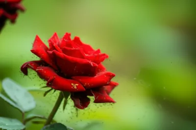 Illustration irritations - Image 1