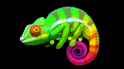 Illustration gif - Image 1