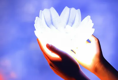 Illustration shaping - Image 1