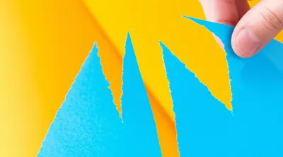 Illustration shred - Image 1