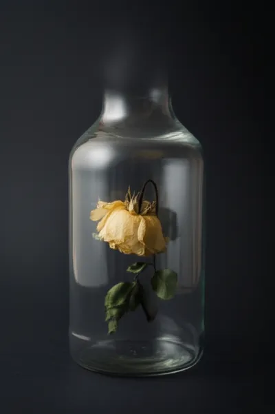 Hình ảnh minh họa suffocated - Ảnh 1