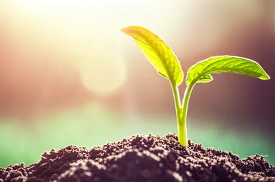 Illustration stimulated - Image 1