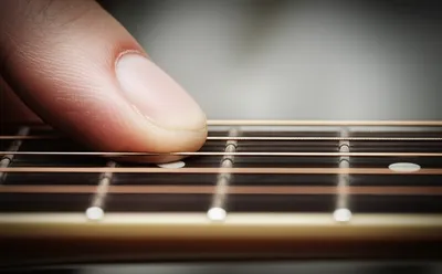 Illustration frets - Image 1