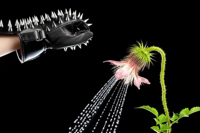 Hình ảnh minh họa hurtful