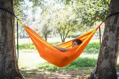 Illustration hammocks - Image 1