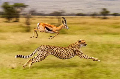 Illustration rushing - Image 1