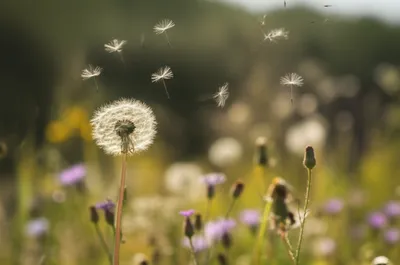 Illustration floated - Image 1