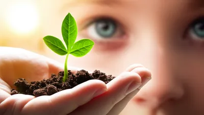 Illustration keeping - Image 1