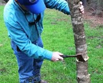 Illustration hack - Image 2