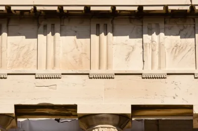 Illustration taenia - Image 1