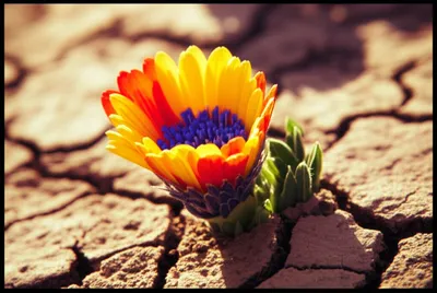 Illustration newest - Image 1