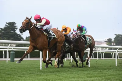 Illustration lugs - Image 1