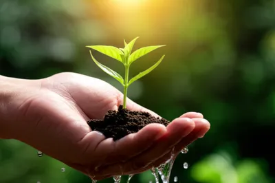 Illustration sponsorship - Image 1