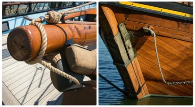 Illustration brace - Image 1