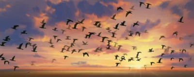 Illustration migration - Image 1