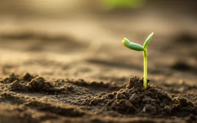 Illustration infant - Image 1