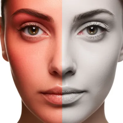 Illustration pale - Image 1