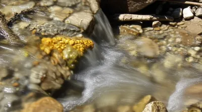 Illustration washed - Image 1