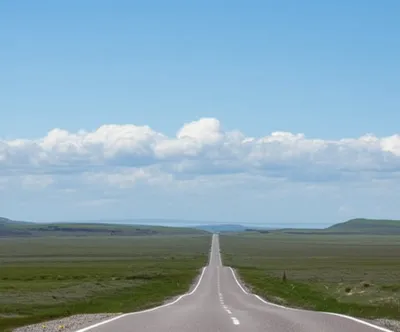 Illustration side - Image 1